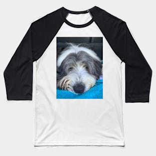 Bearded Collie - Chilled, Calm and Cute Beardie Baseball T-Shirt